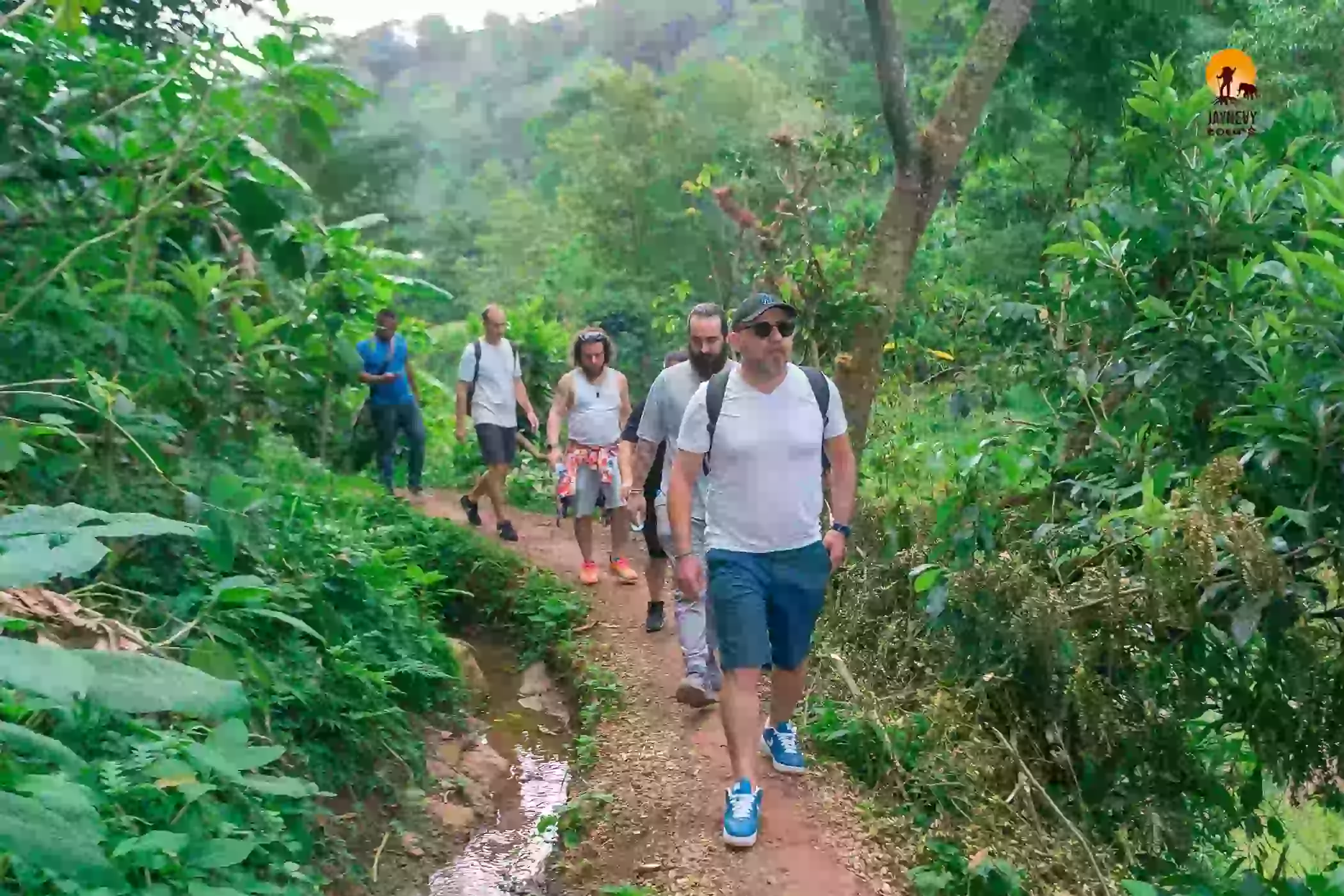 Materuni Waterfall and coffee tour experience