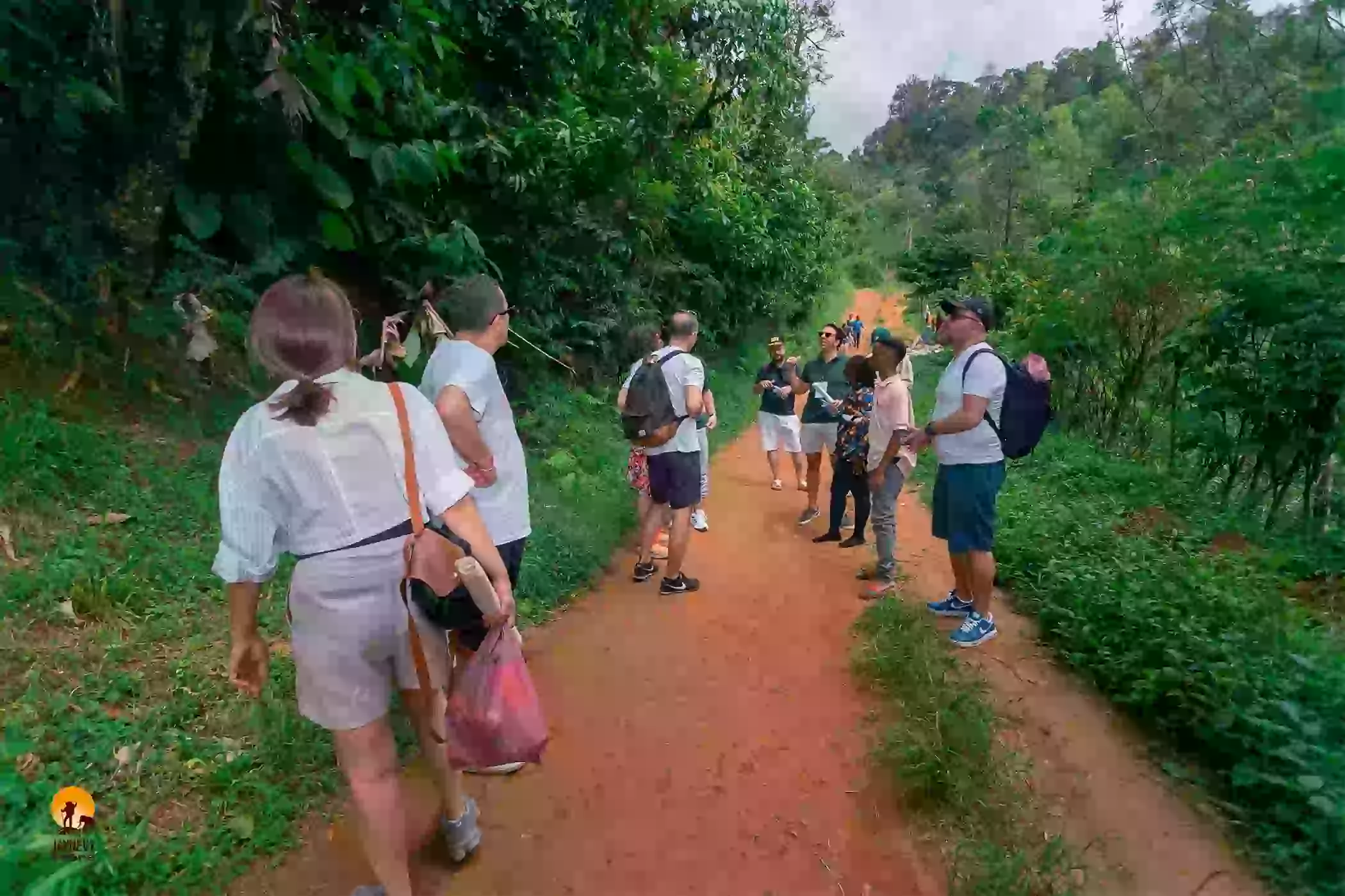 Materuni Waterfall and coffee tour experience