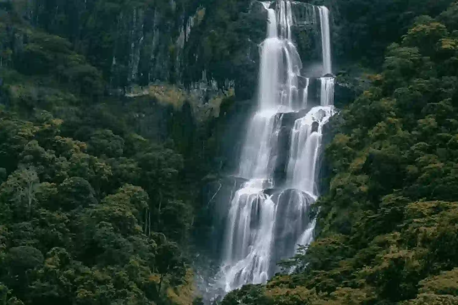 Национальный парк горы Удзунгва