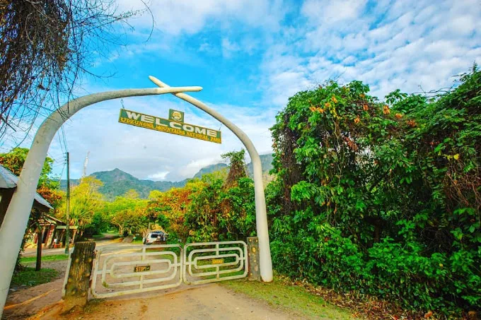 5-Day Hiking Expedition in Udzungwa – Mwanihana Peak Trek