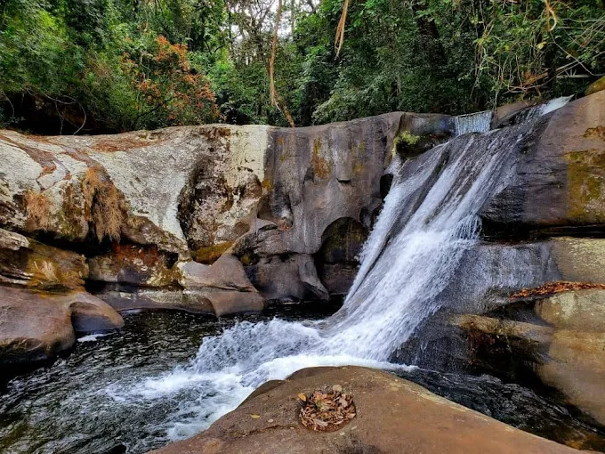 2-Day Udzungwa Mountains National Park Hike & Waterfall Adventure