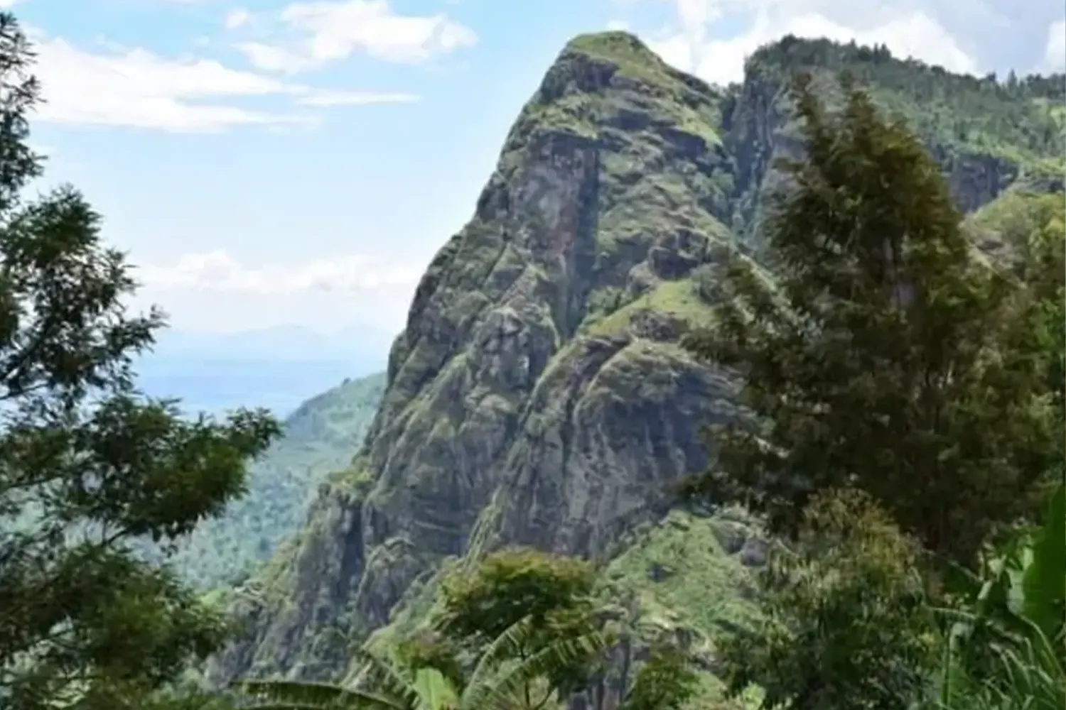 Usambara Mountains