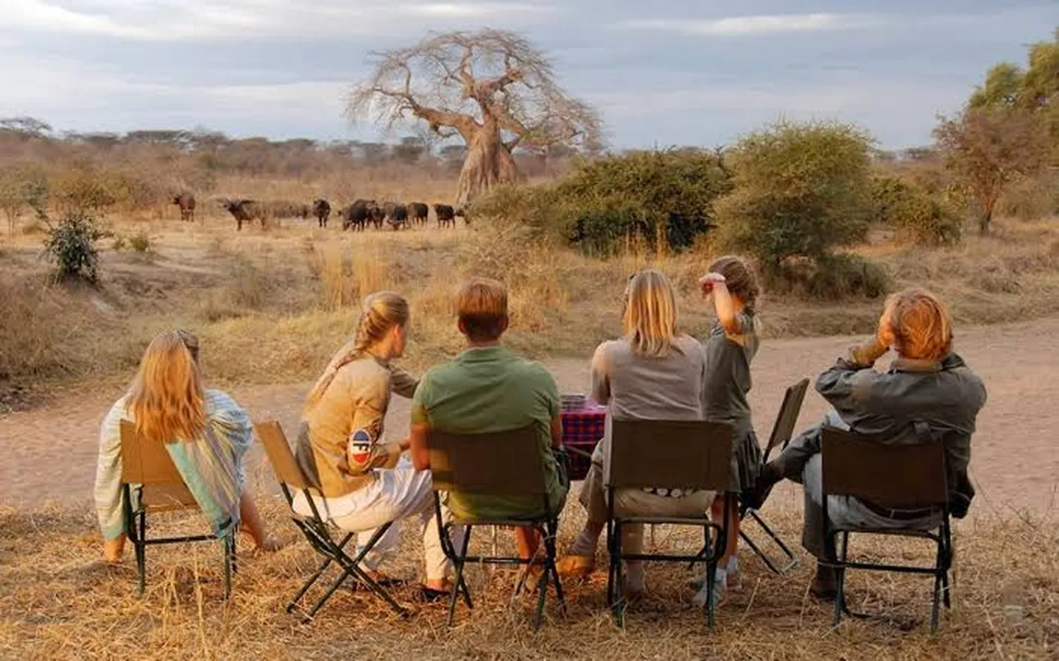 walking safari options during 6 day Tanzania tour