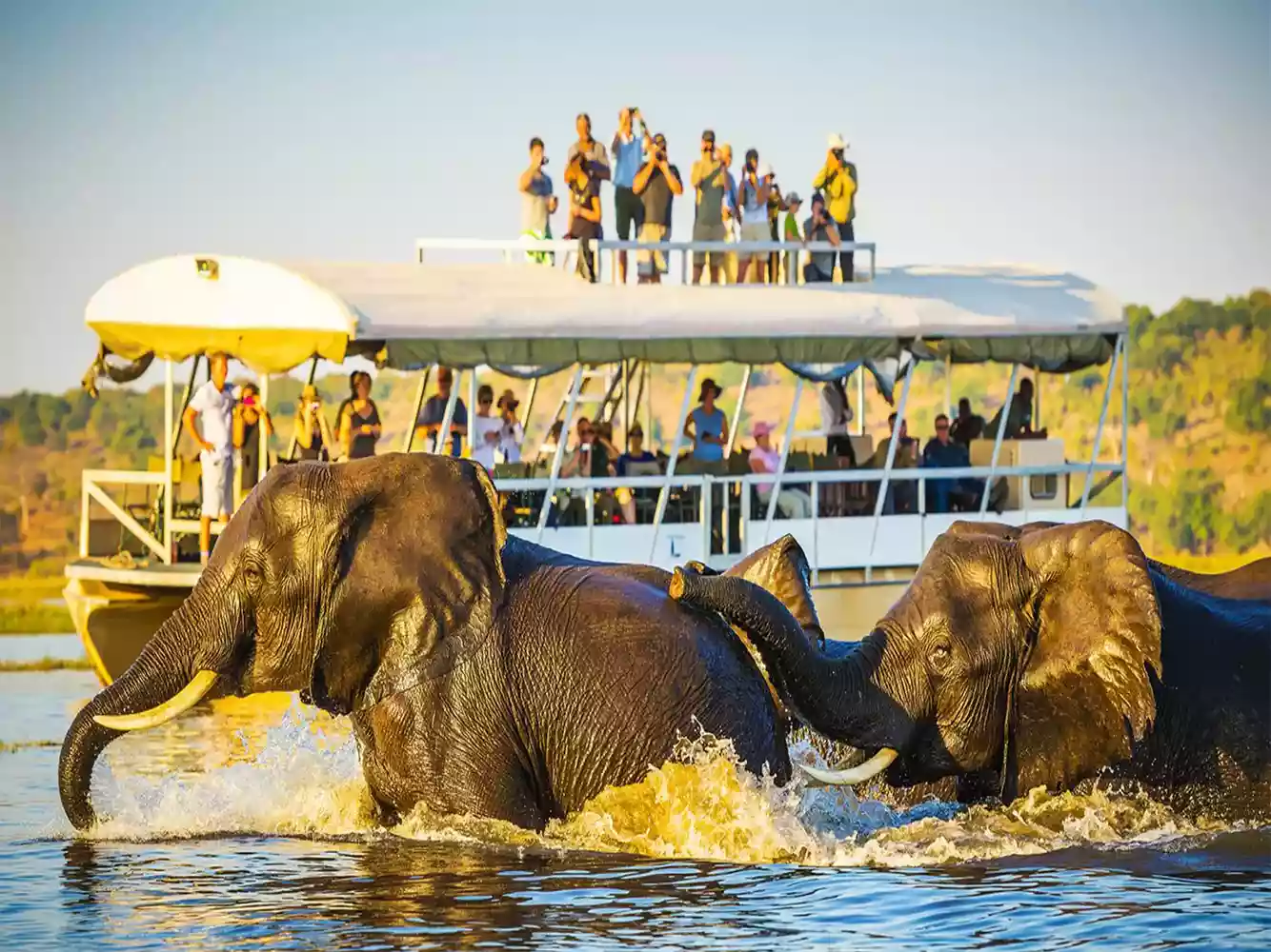 Ace 7-Day victoria falls