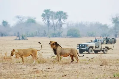 Elite 6-day best lower Zambezi tour.