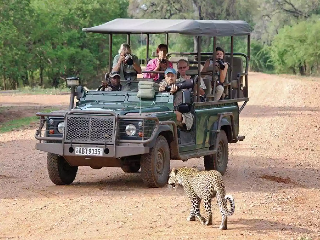 Exclusive 7-day South Luangwa National Park tour
