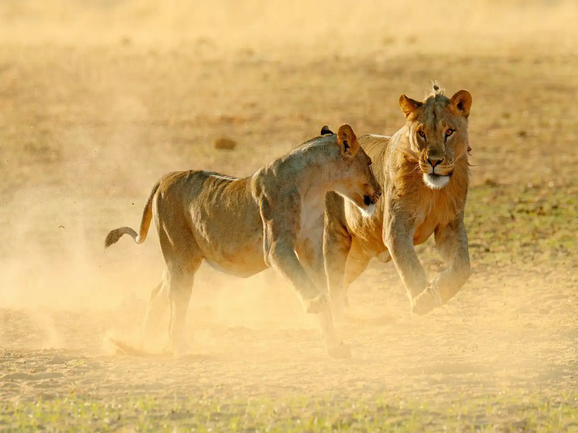 High-end 4-day on unmissable lusaka tour
