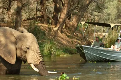 Ultimate Kafue National Park
