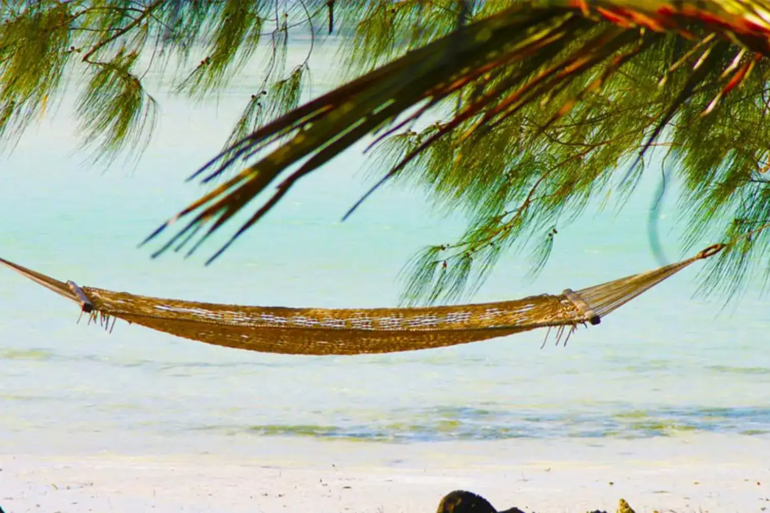 4 days Zanzibar beach holiday tour package