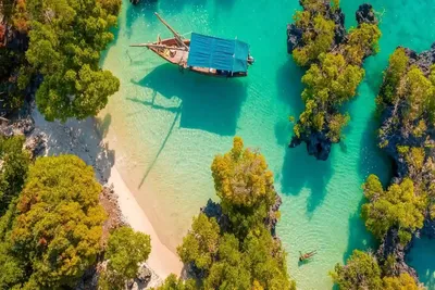 Zanzibar in January