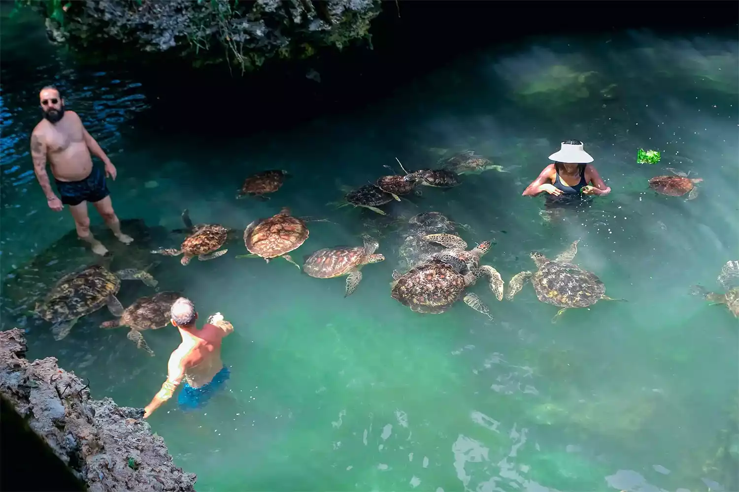 Baraka Aquarium and Nungwi Village