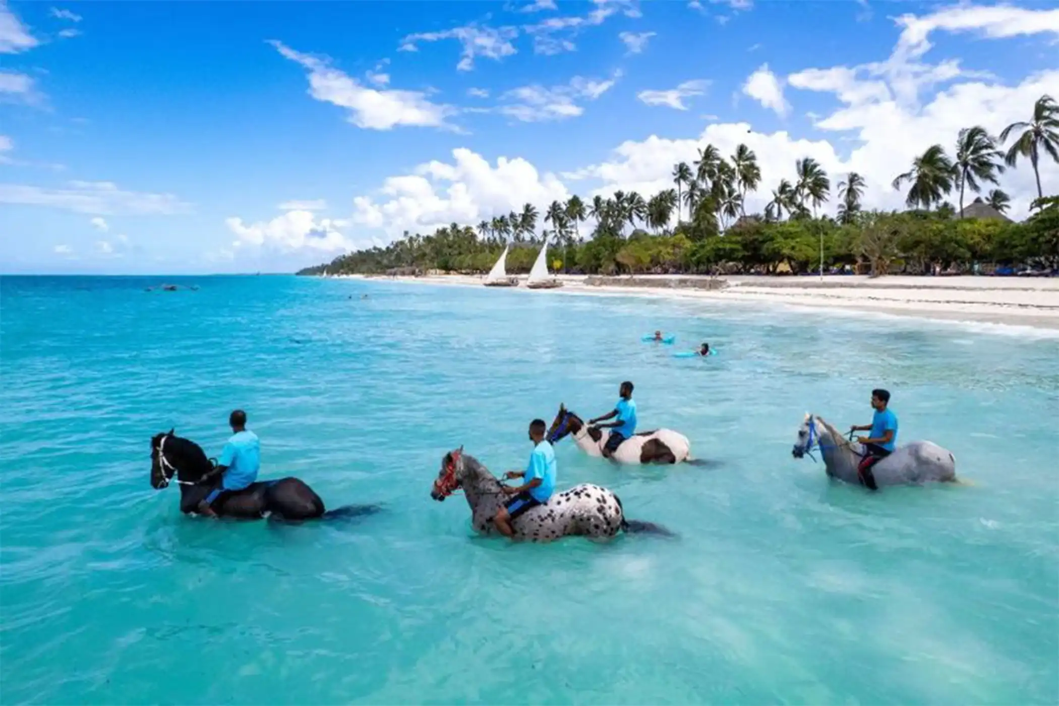 Horse Riding Tour in Zanzibar