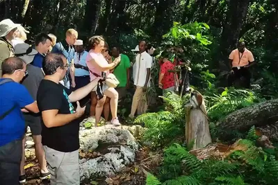 Jozani Forest Visiting Tour in Zanzibar
