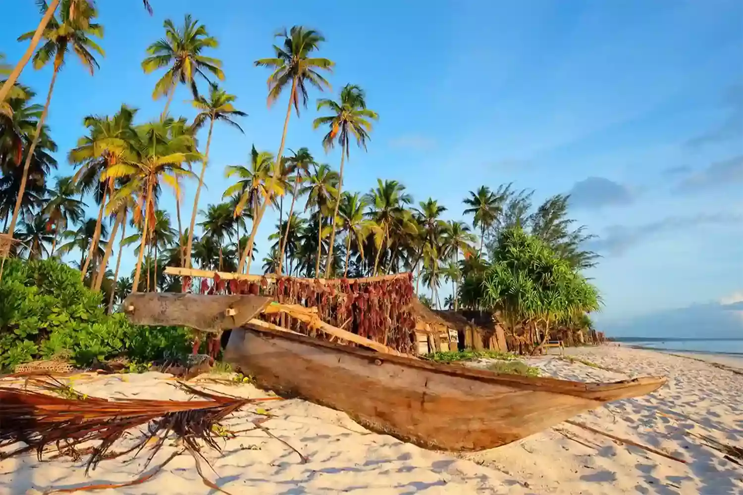 Zanzibar Articles