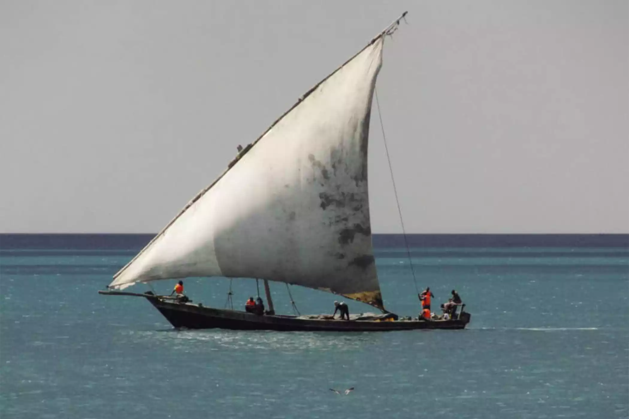 Traditional sunset dhow cruise tour in Zanzibar Traditional sunset dhow cruise tour in Zanzibar