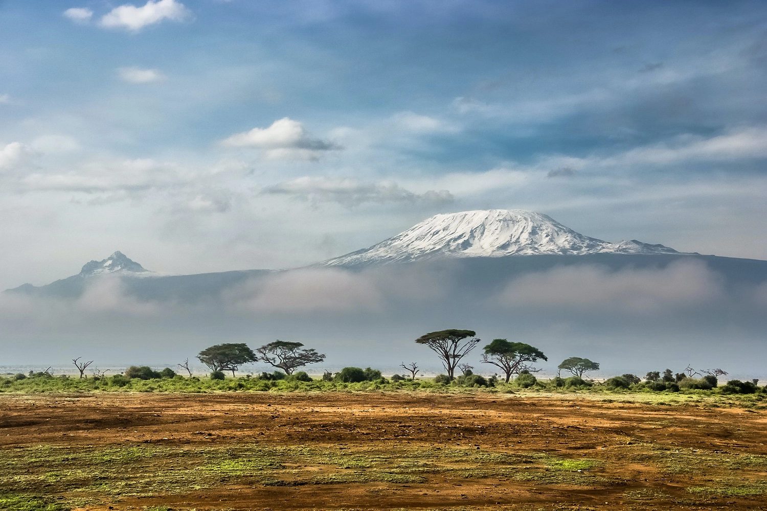 one day Mount Kilimanjaro climbing