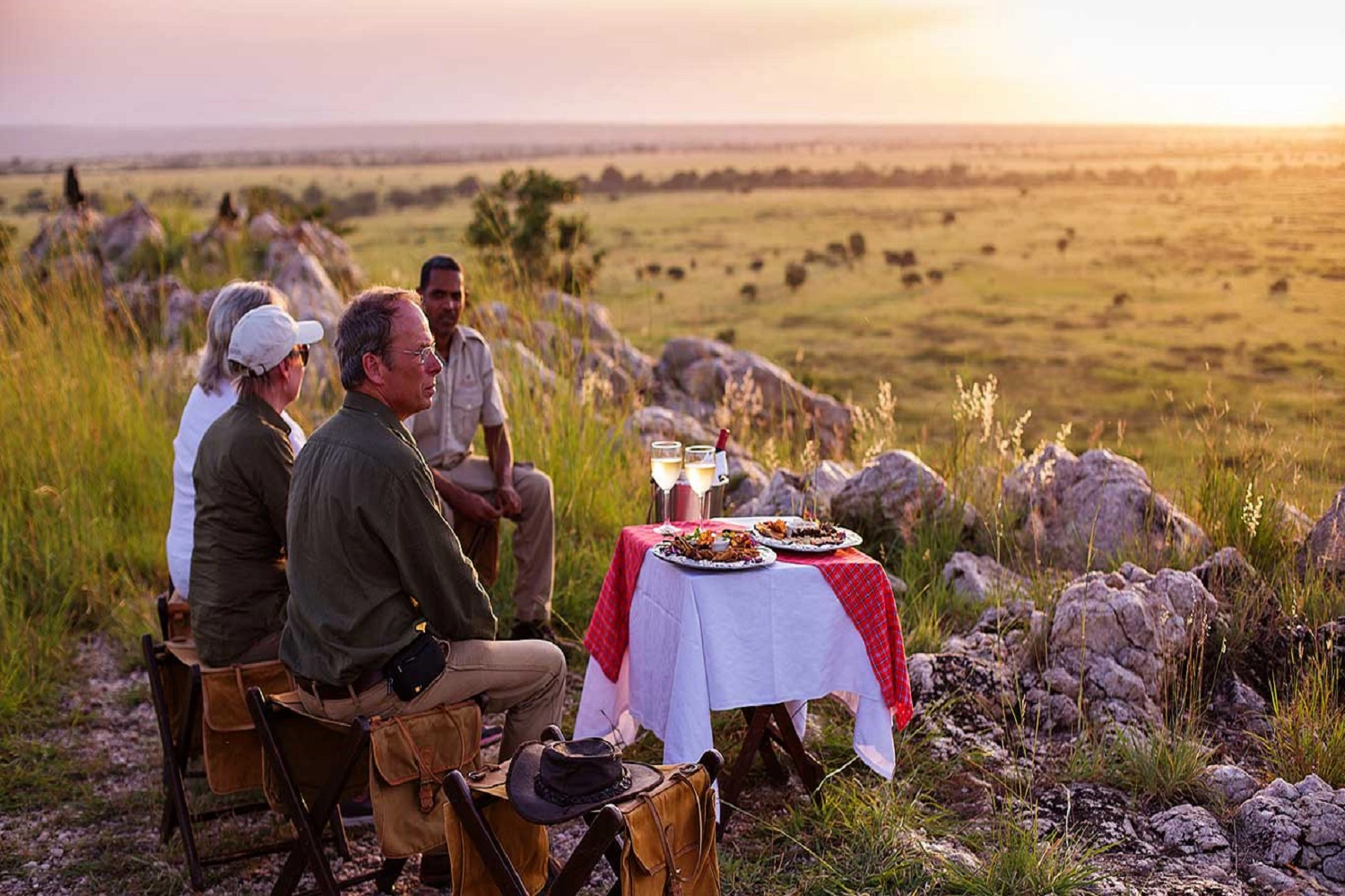 Ein entspanntes, luxuriöses Abendessen während des 4-tägigen Serengeti-Luxus-Safari-Tour-Pakets Ein entspanntes, luxuriöses Abendessen während des 4-tägigen Serengeti-Luxus-Safari-Tour-Pakets