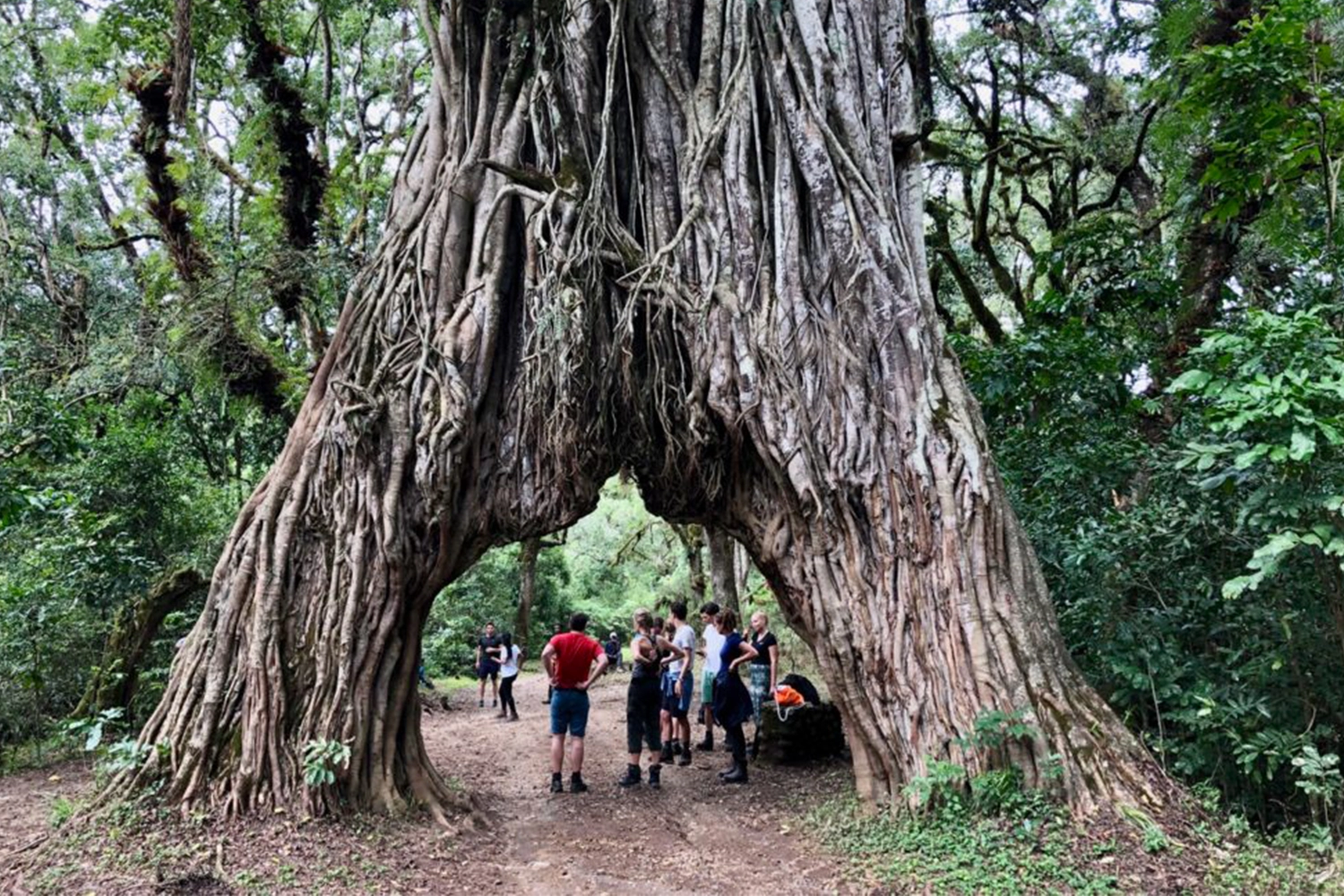 Tagesausflug zum Arusha-Nationalpark