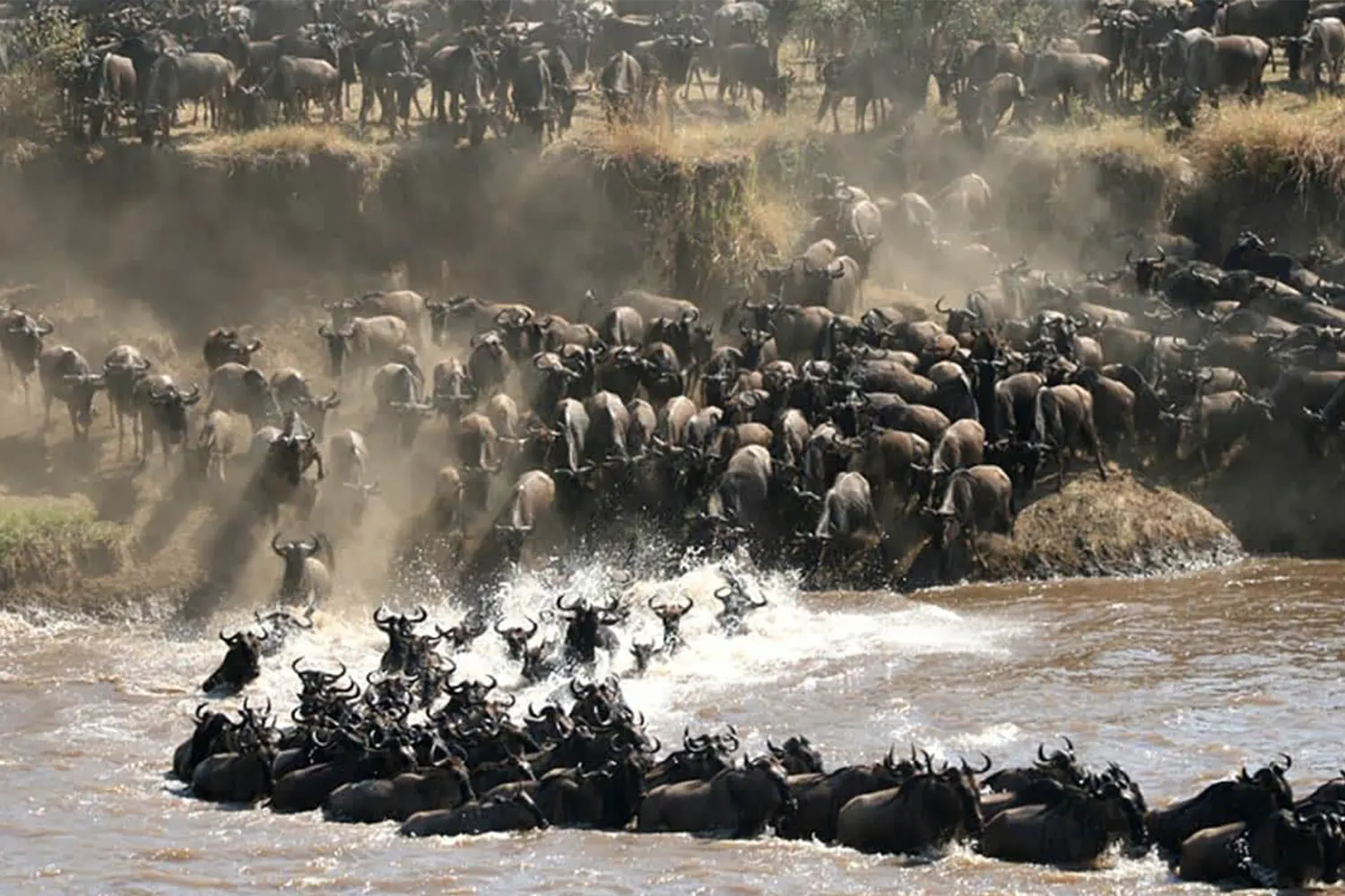 7-tägiges Serengeti-Migrationssafari-Tourpaket