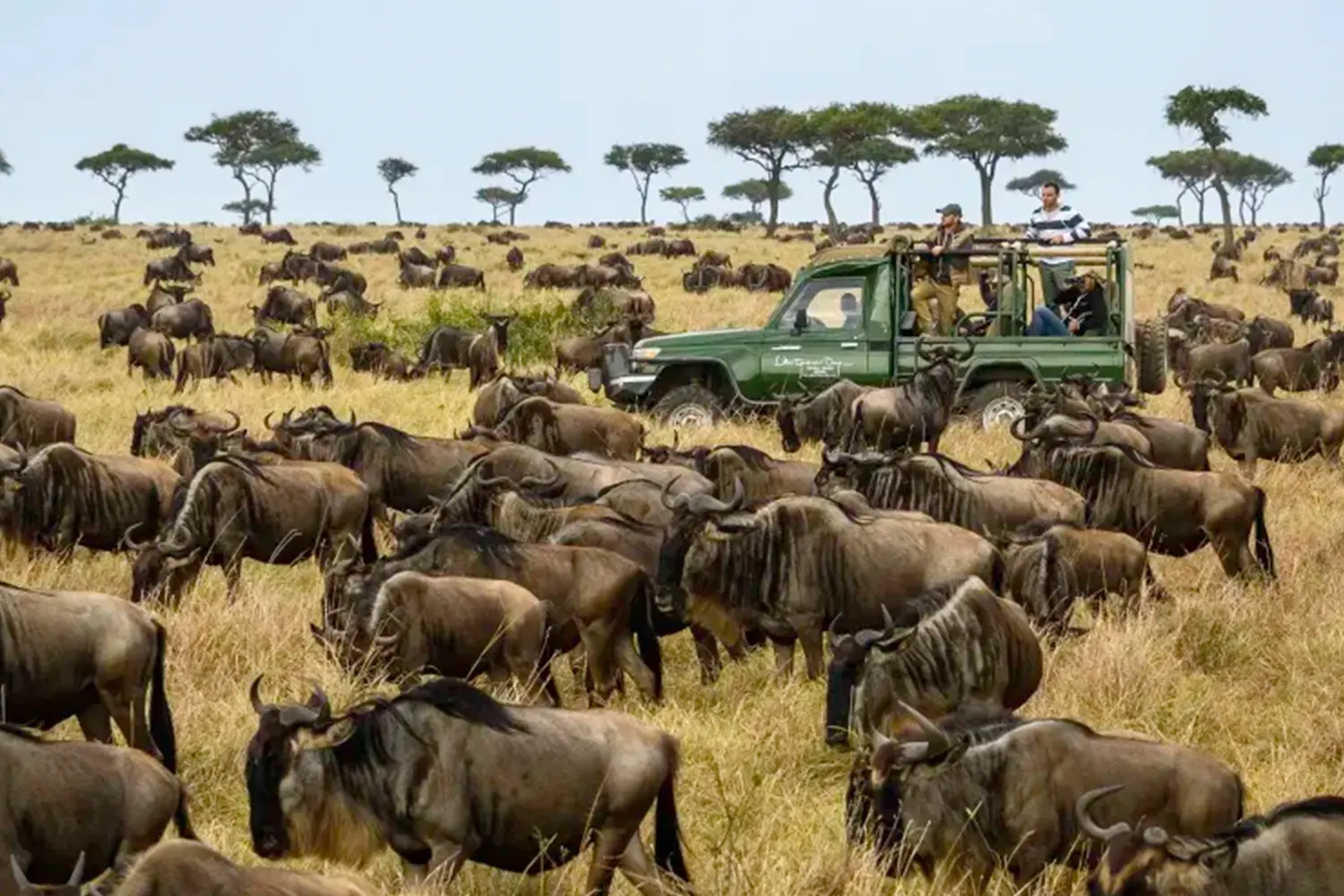 6-tägige Serengeti-Migrationssafari ab Arusha